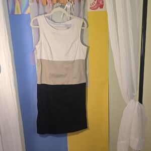 Liz Claiborne Sleeveless Dress in Cream, Tan, and Black
